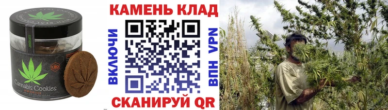 mega как зайти  Рассказово  Печенье с ТГК конопля  как найти  