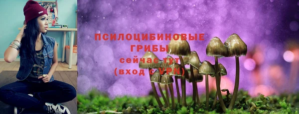 спиды Алзамай