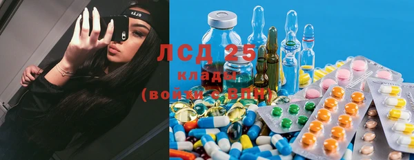 дживик Гусь-Хрустальный